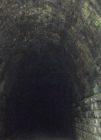 Mud Tunnel